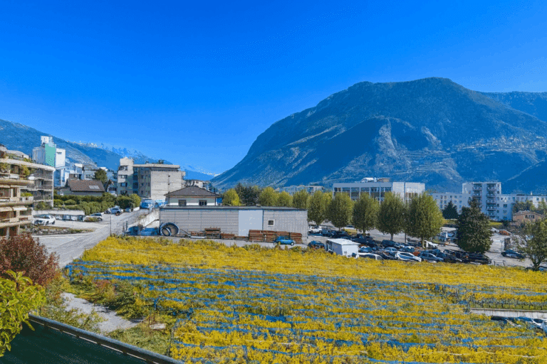 AA8B5354-8A98-4657-BD7B-32DBD3BB5BA4