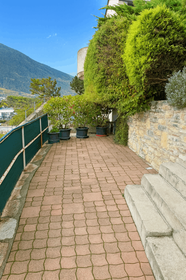 F2470331-A322-448F-8C13-133222E4A727